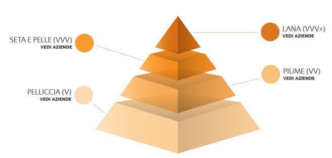 Animal Free Fashion 2 Rating Animal Free Fashion by LAV