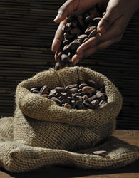 Juta 4 Sacco da Caffè in Juta