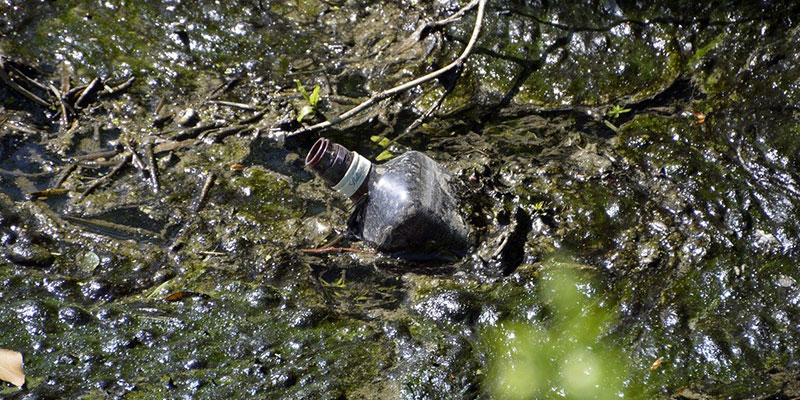 Inquinamento Idrico: è il Momento di Usare Detersivi Ecologici 3 Eutrofizzazione dell'acqua e crescita di alghe causata da detersivi